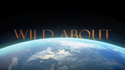 Дике життя / Wild About (Сезон 1)...