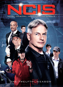 Морська поліція (Сезон 12) / NCIS:...
