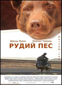 Рудий пес / Red Dog (2011) BDRip-AV...
