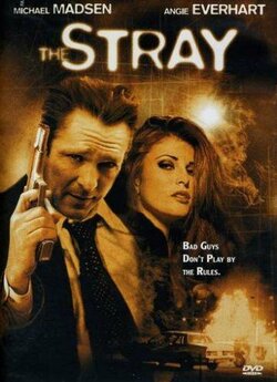 Бродяга / Stray (2000) DVDRip
