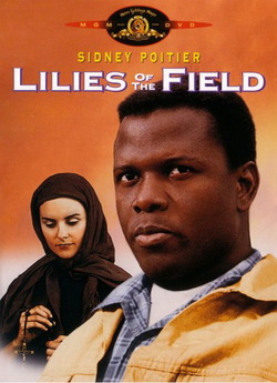 Польові лілеї / Lilies of the Field...