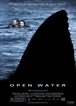 Відкрите море / Open Water (2003) BDRip...