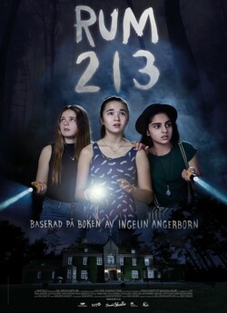 Кімната 213 / Rum 213 (2017) BDRip-AVC...<wbr>