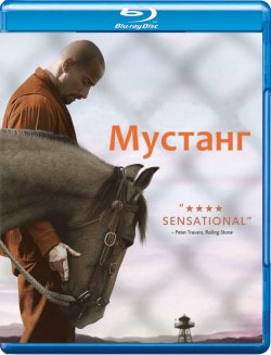 Мустанг / The Mustang (2019) BDRip-AVC...<wbr>