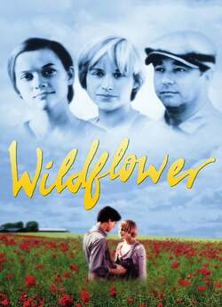 Гидке каченя / Wildflower (1991) WEB-DL...