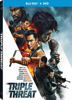 Потрійна загроза / Triple Threat (2019)...