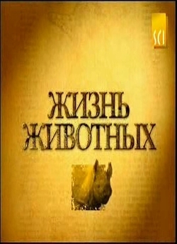 Життя тварин (2001) SATRip