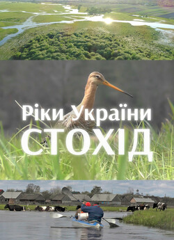 Ріки України. Стохід / Rivers of...