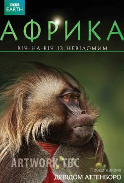 Африка (5 серій) / Africa (2013) HDTVRip