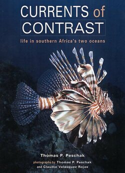 Океани контрастів / Oceans of Contrast...