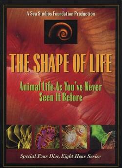 Таємниці життя / The Shape of Life...