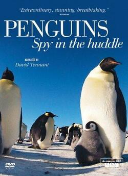 Очима пінгвінів (3 серії) / Penguins:...<wbr>