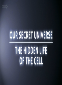 Таємниці клітини / Secret Universe: The...
