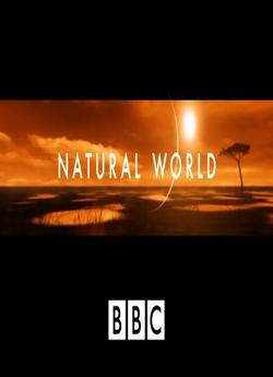 Природний світ / The Natural World...