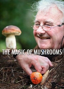 Таємне життя грибів / The Magic of...