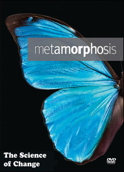 Перетворення<wbr>: наука змін / Metamorphosi<wbr>s...