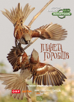Планета горобців / Sparrow Planet...