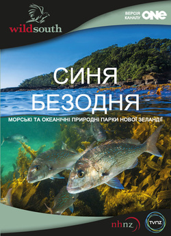 Синя безодня (Сезон 1) / Our Big Blue...