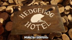 Готель «Їжачок» / Hedgehog Hotel (2015)...