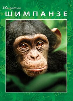 Шимпанзе / Chimpanzee (2012) BDRip 720p...