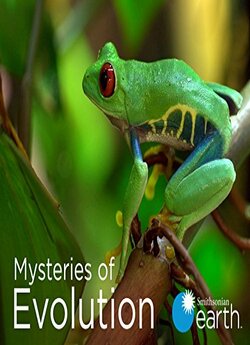 Таємниці еволюції (Сезон 1) / Mysteries...<wbr>