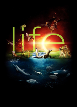 BBC Життя (Сезон 1) / BBC Life (Season...