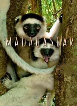 Мадагаскар (3 серії з 4) / Madagascar..<wbr>.