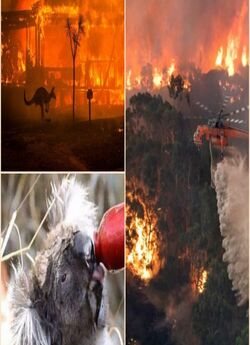 Австралія у вогні / Australia Burning...