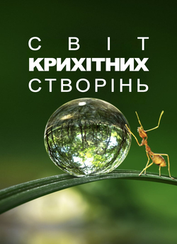 Світ крихітних створінь (Сезон 1) /...