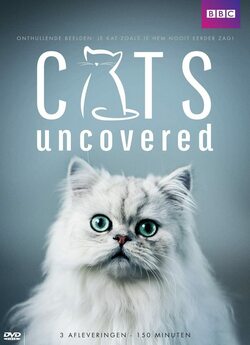 Коти без прикриття (Cats uncovered) /...