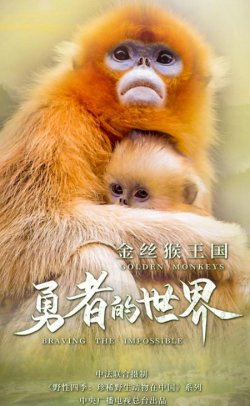 Царство Золотої Мавпи / Fanjingshan.<wbr>..