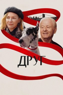 Друг / The Friend (2024) WEB-DL 2160p...