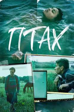 Птах / Bird (2024) WEB-DL 1080p Ukr/Eng